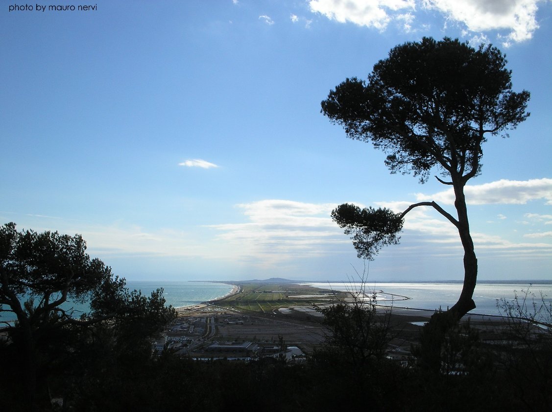 photo "Sète, south of France" tags: landscape, 