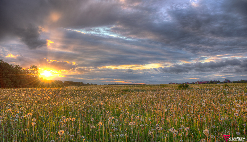 photo "***" tags: landscape, nature, 