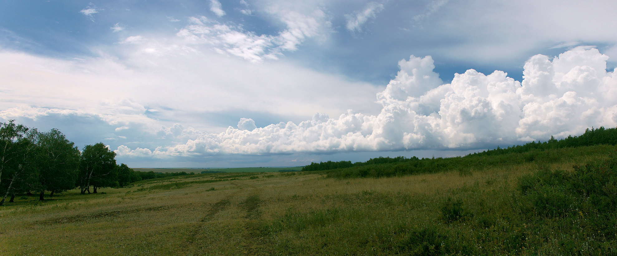 photo "***" tags: landscape, panoramic, clouds, forest, meadow, summer