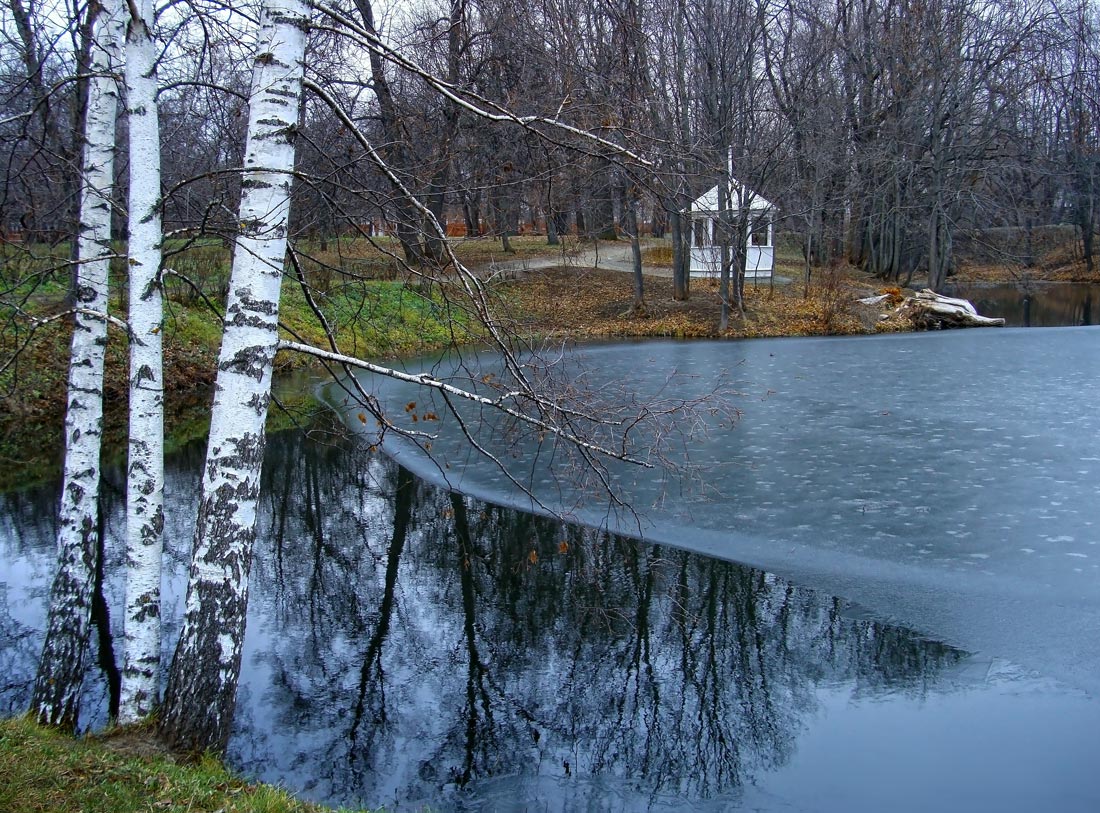 фото "..первый лед.." метки: пейзаж, Болдино, березы, вода, ноябрь, осень