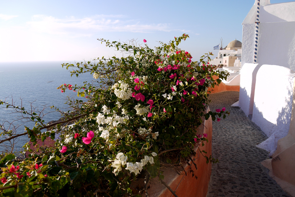 photo "Oia" tags: landscape, travel, sea