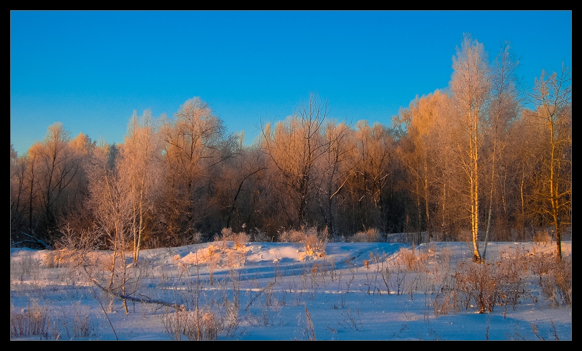 фото "Зима за городом" метки: пейзаж, зима, лес