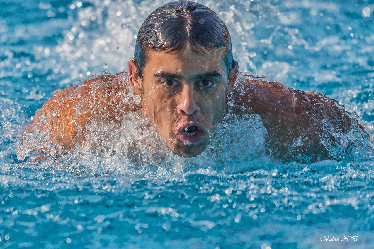 фото "Dolphin Swimmer" метки: репортаж, спорт, Африка, вода