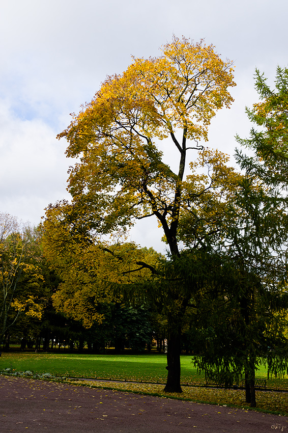 photo "***" tags: landscape, city, autumn