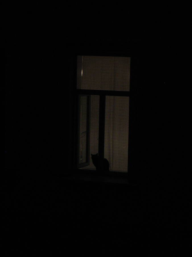 photo "***" tags: misc., night