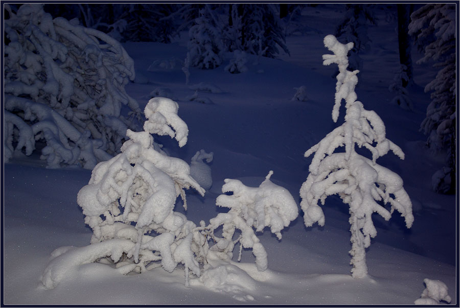 фото "Причуды Зимы" метки: природа, Якутия, зима, иней, тайга