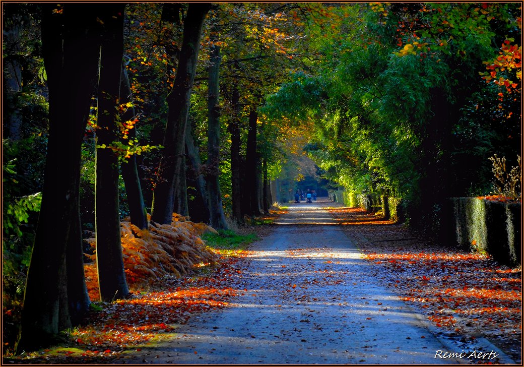 photo "***" tags: landscape, nature, street, 