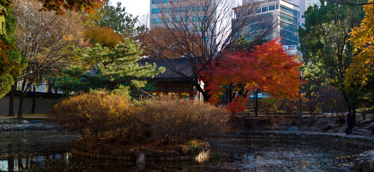 photo "***" tags: landscape, Asia, autumn