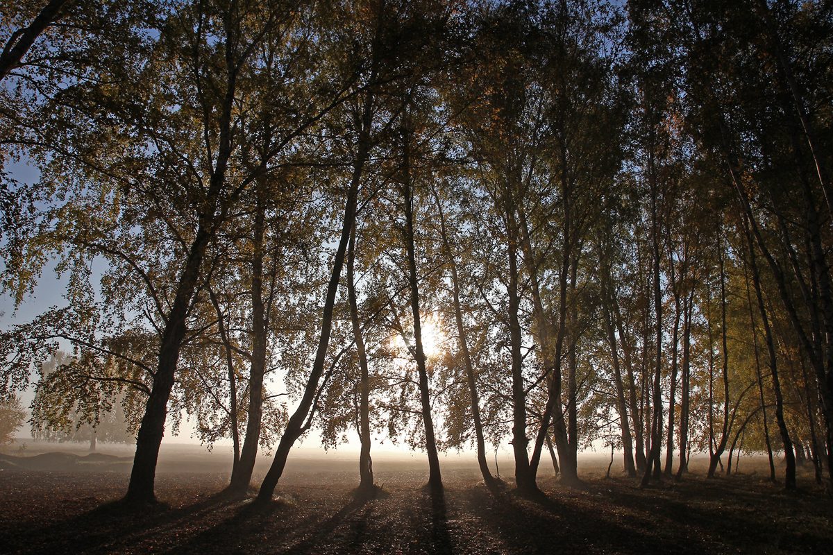 фото "***" метки: пейзаж, 