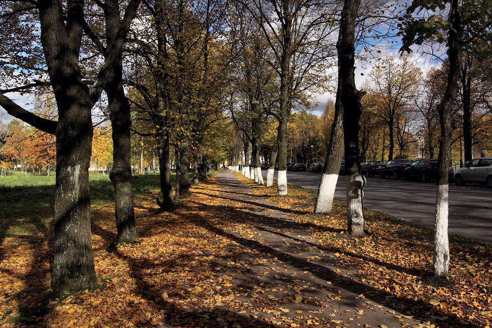 photo "***" tags: landscape, autumn, листья