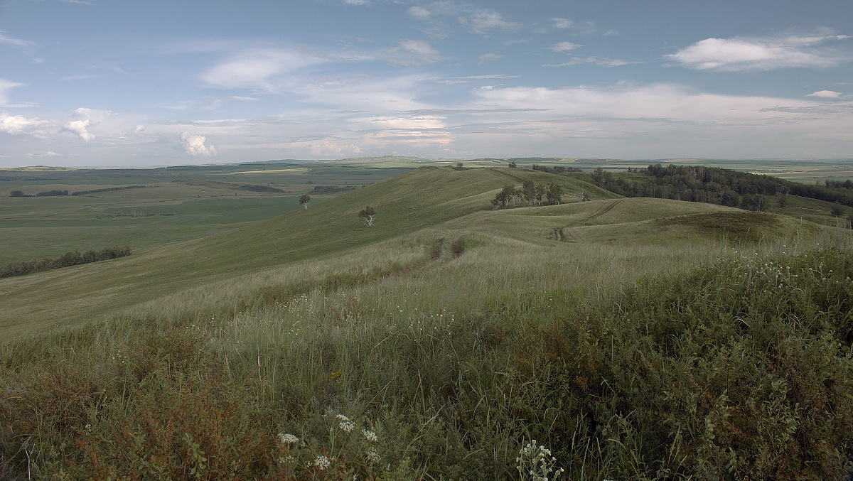 photo "***" tags: landscape, autumn, clouds, flowers, meadow, summer