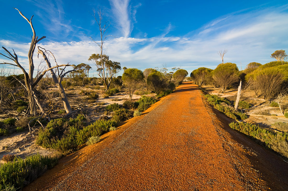 photo "Warm evening" tags: landscape, clouds, evening, road, sky