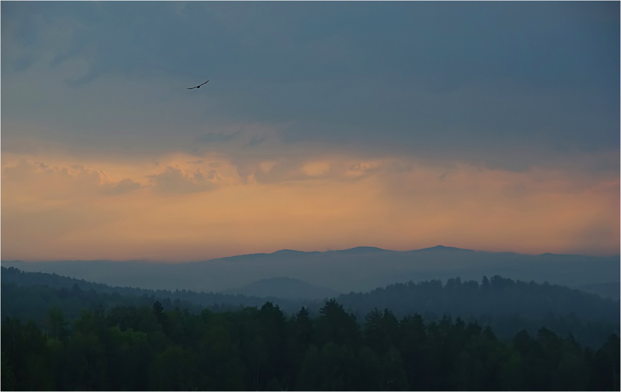 photo "***" tags: landscape, travel, bird, clouds, forest, morning, mountains, sky, summer, урал