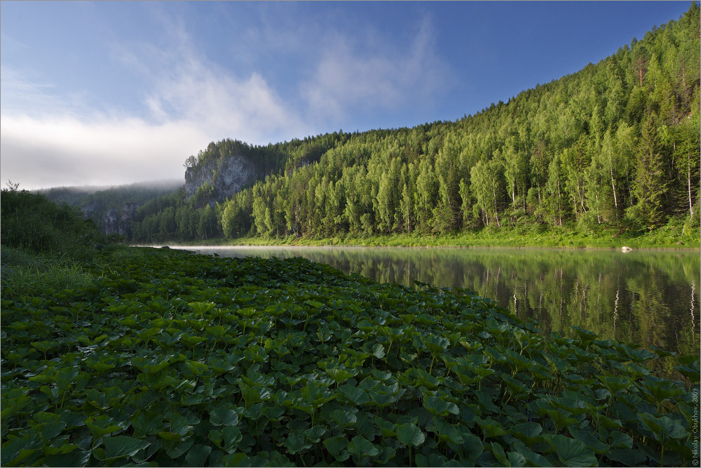 photo "0192_0155" tags: landscape, fog, forest, mountains, river, rocks, summer, sunrise, water