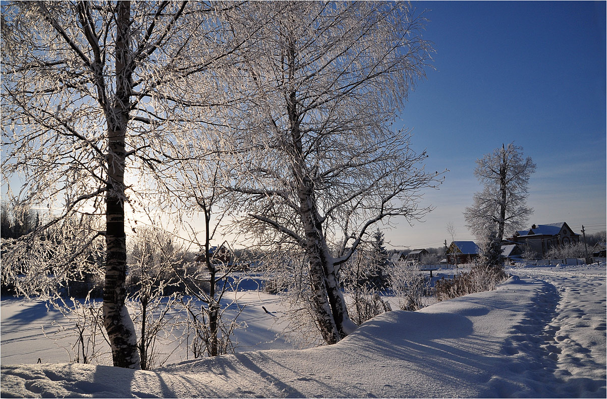 photo "***" tags: landscape, nature, birches, forest, hoarfrost, snow, sunset, winter, дома, лед