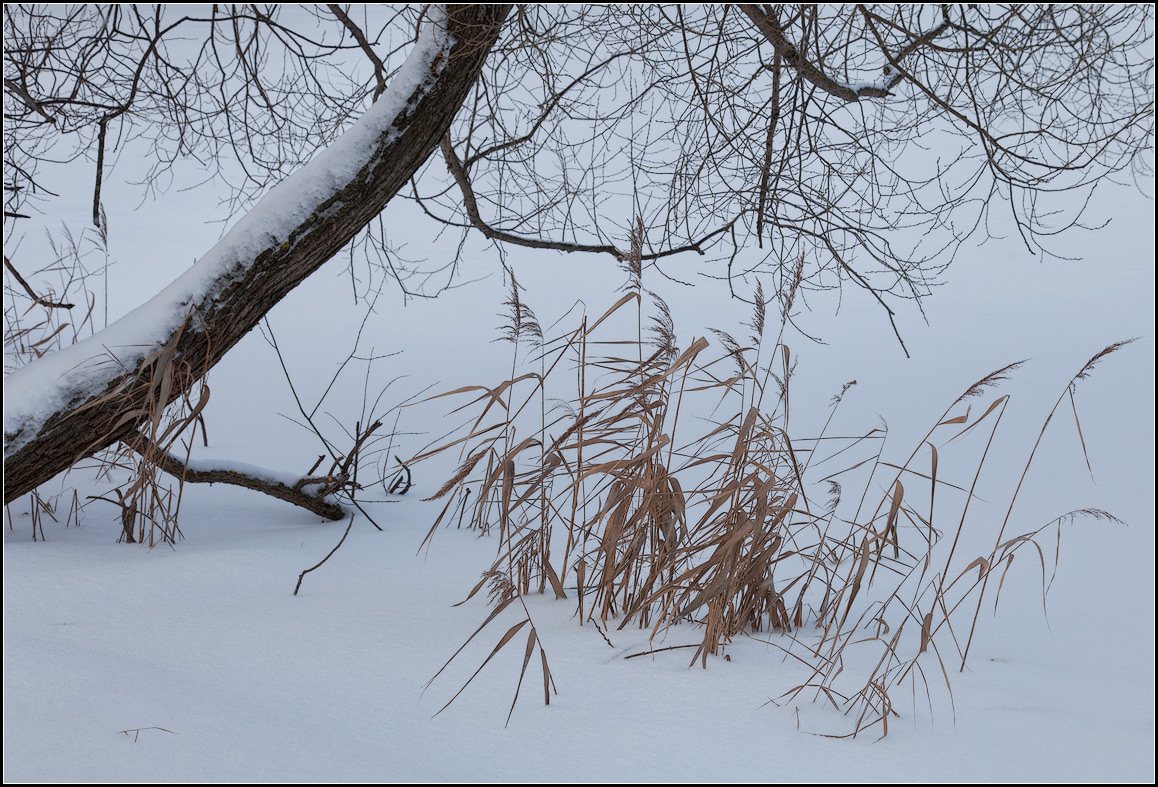 photo "winter" tags: nature, landscape, 