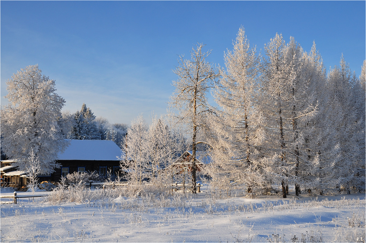 photo "***" tags: landscape, nature, forest, hoarfrost, snow, winter, деревня, дома, ели