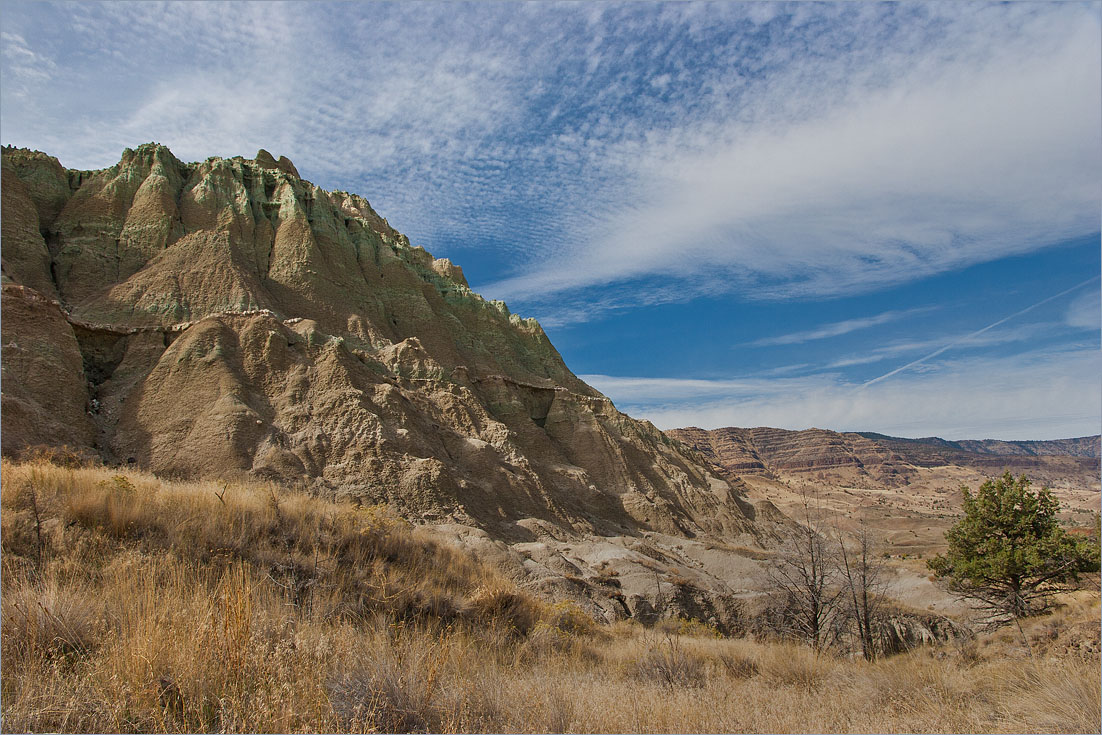 photo "Striped life" tags: landscape, 