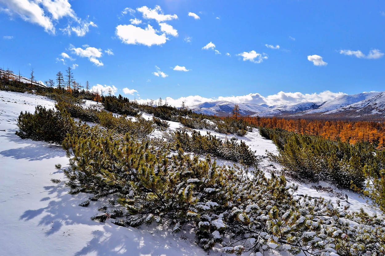 photo "***" tags: landscape, autumn, forest, sky, snow, winter