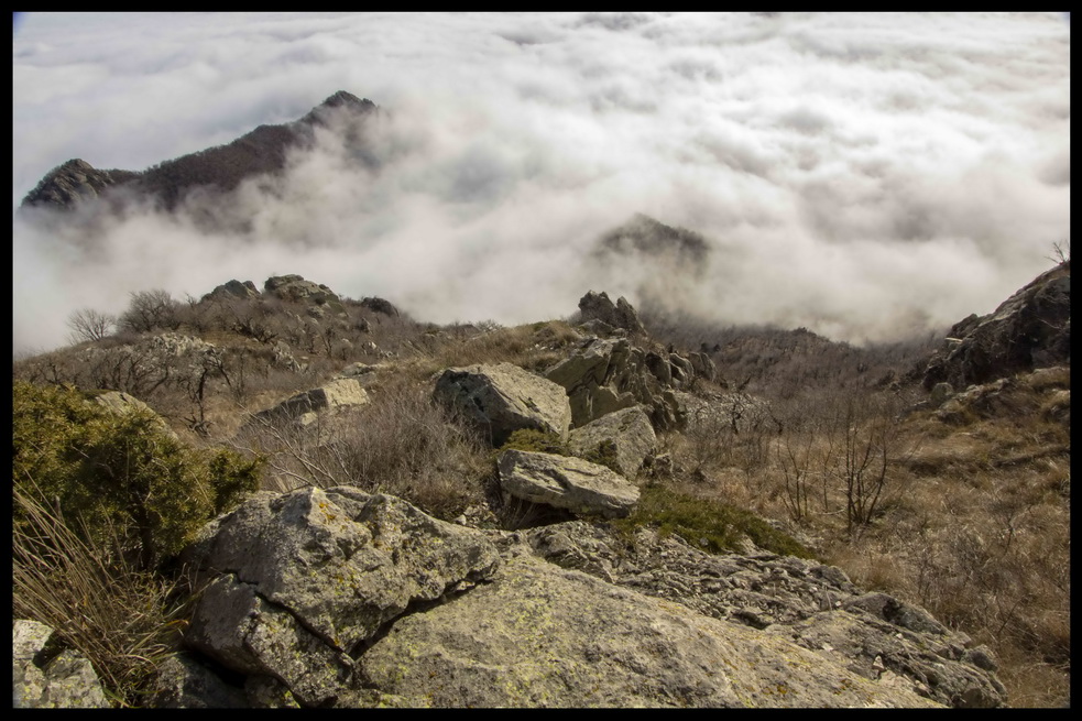 photo "***" tags: landscape, fog, forest, mountains, rocks