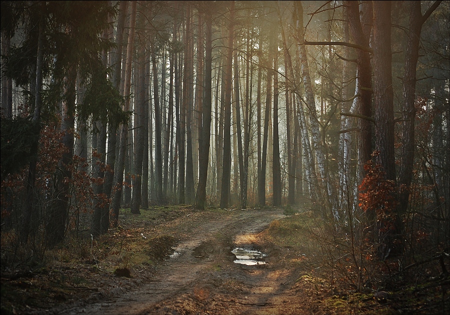 фото "*" метки: пейзаж, 