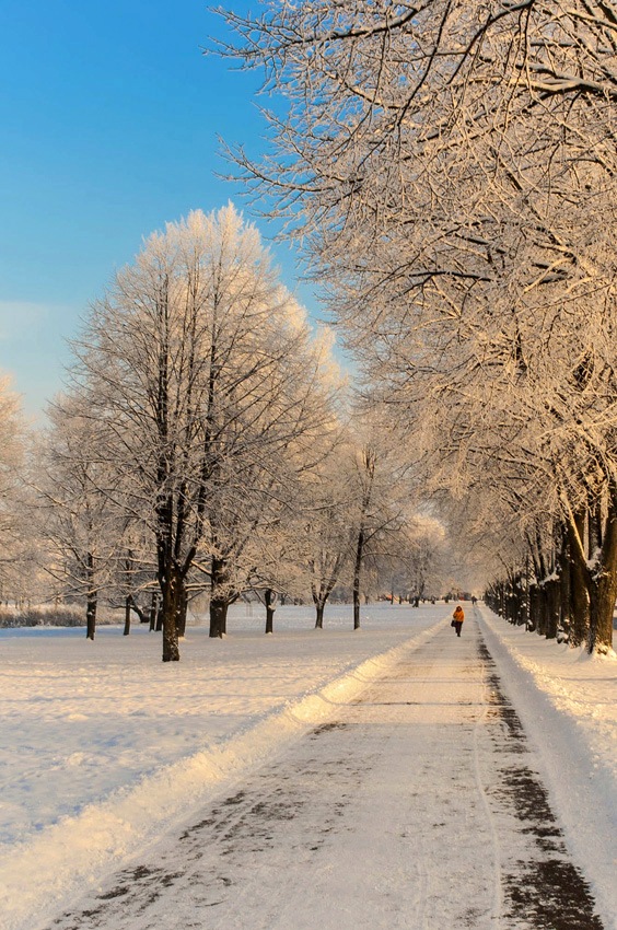 photo "***" tags: landscape, winter