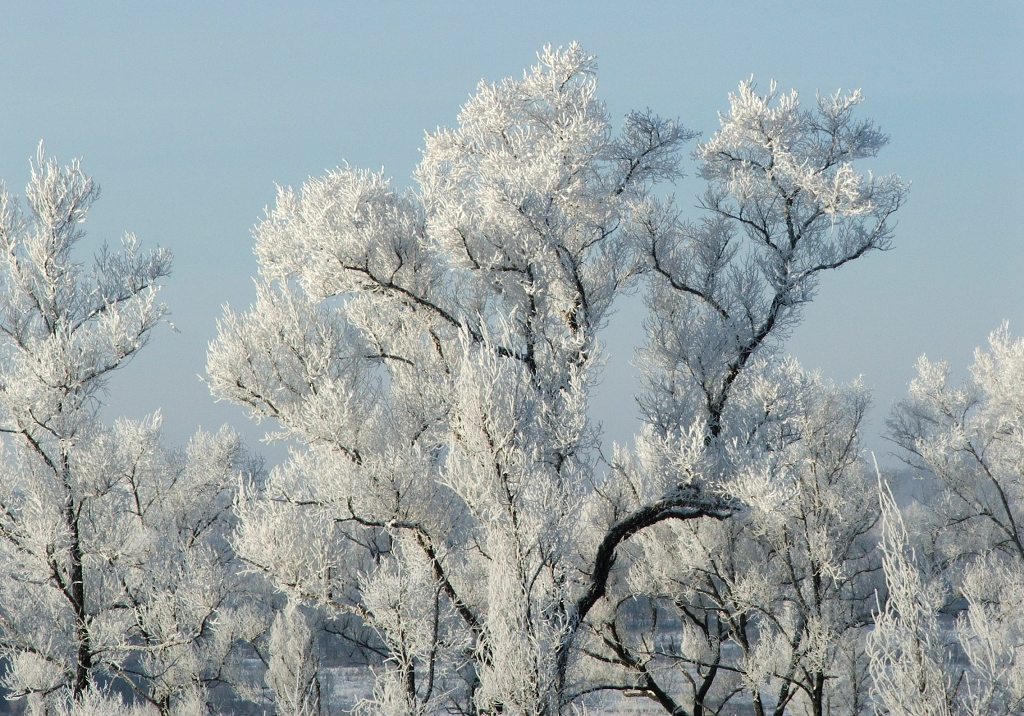 фото "****" метки: путешествия, природа, пейзаж, 