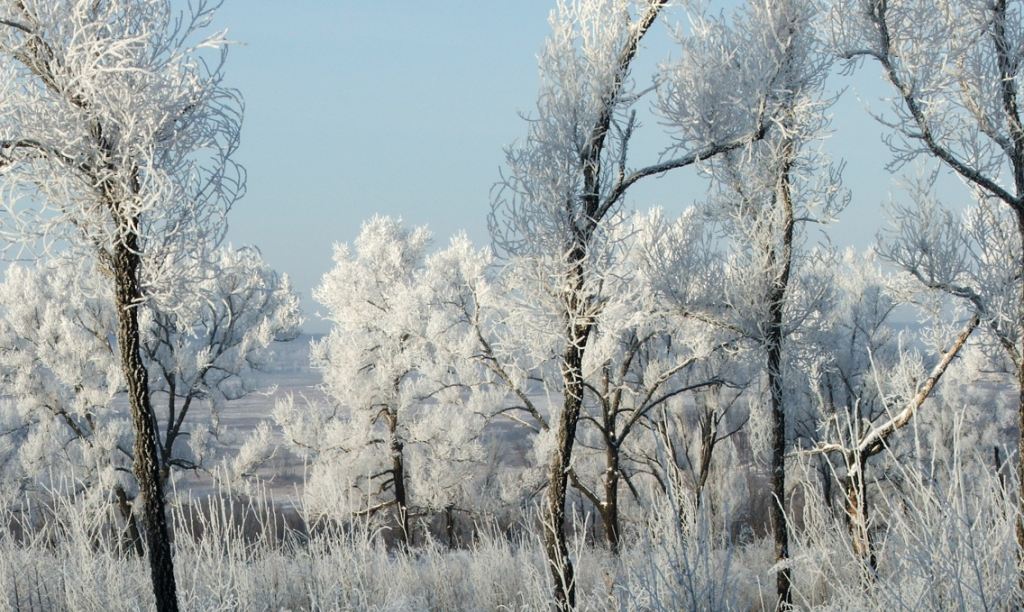 фото "Зимний танец" метки: пейзаж, разное, природа, 