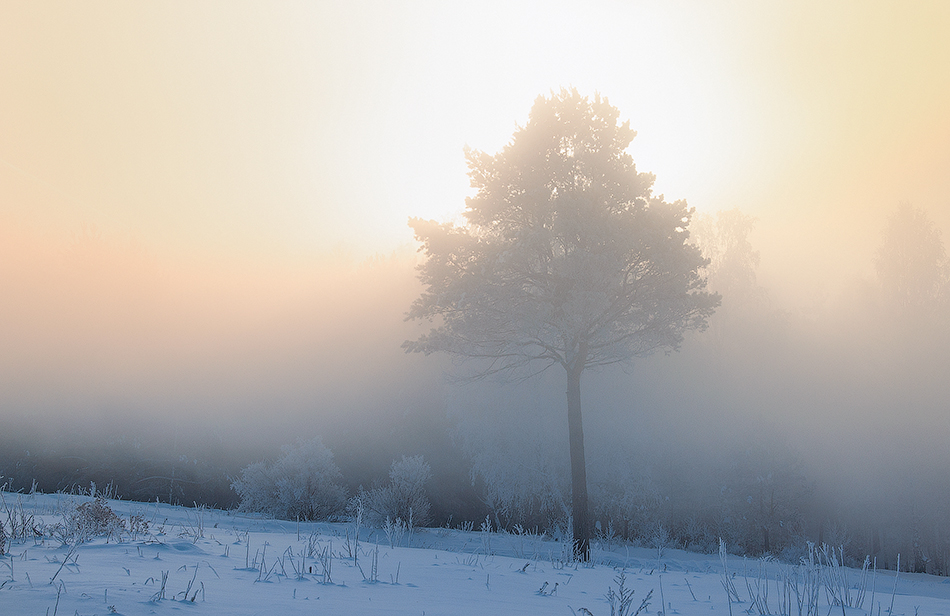 фото "Фрагмент зимнего утра" метки: пейзаж, зима, небо, рассвет, свет, солнце, утро