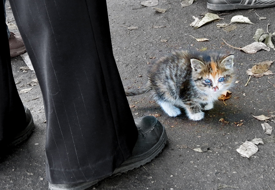 фото "***" метки: город, разное, 