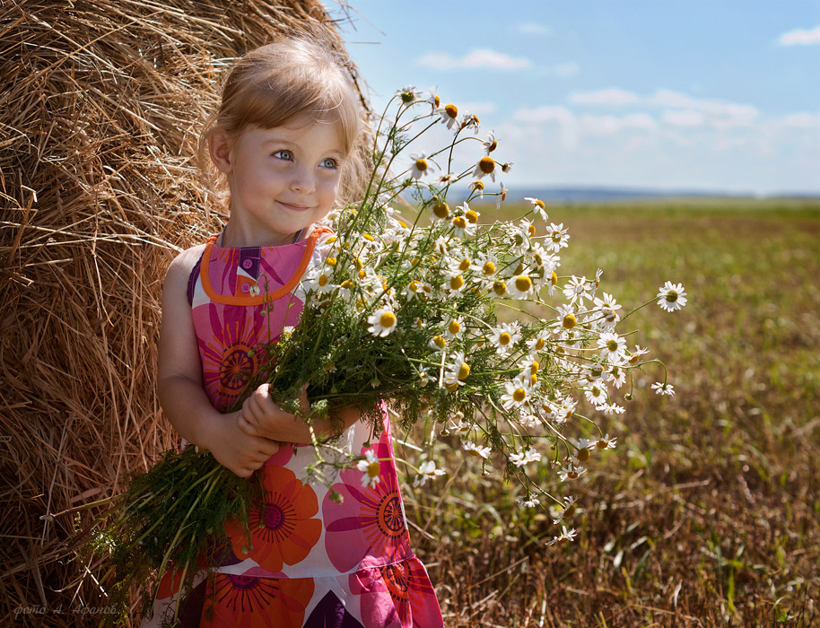 фото "Ромашки" метки: , 