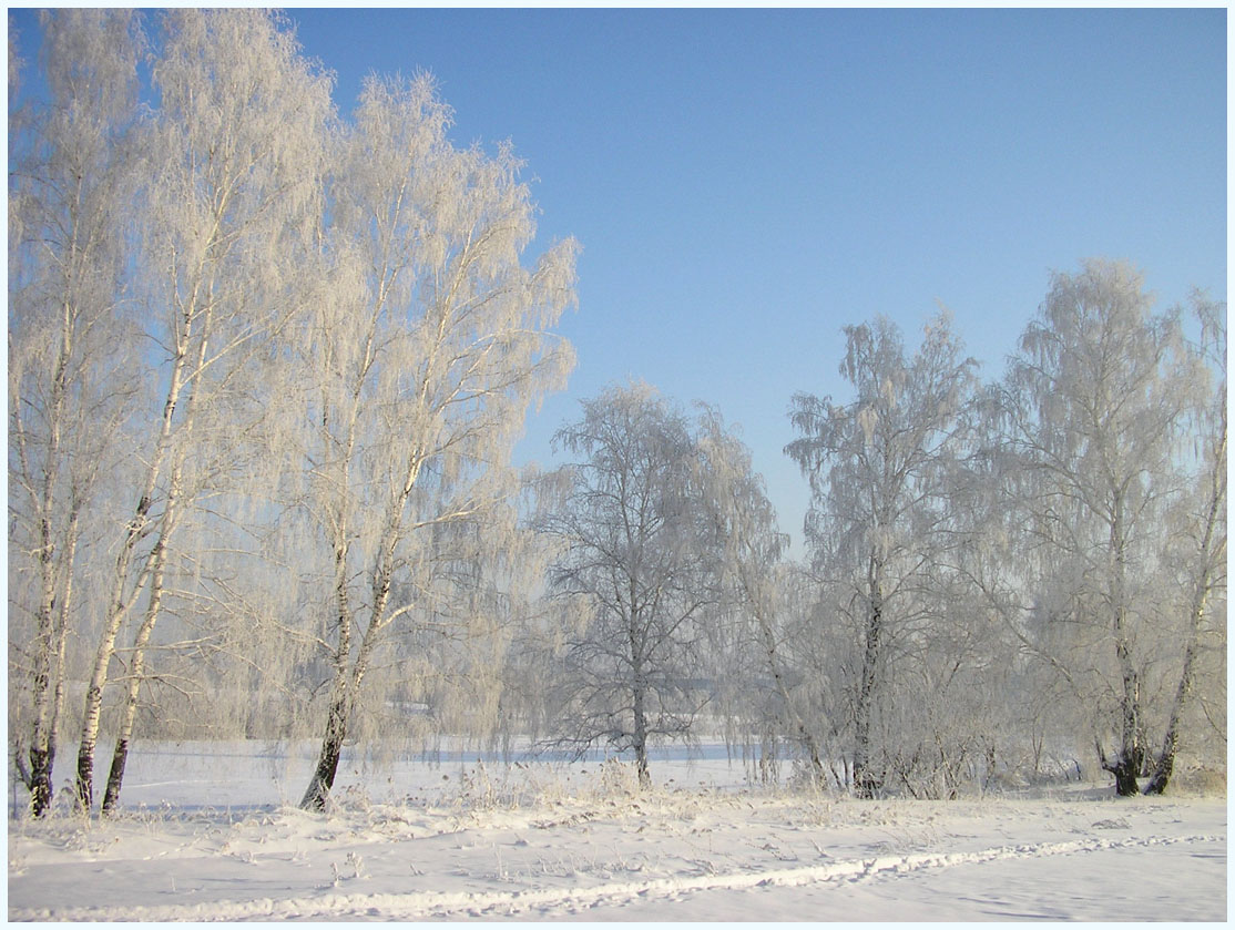 photo "***" tags: landscape, winter