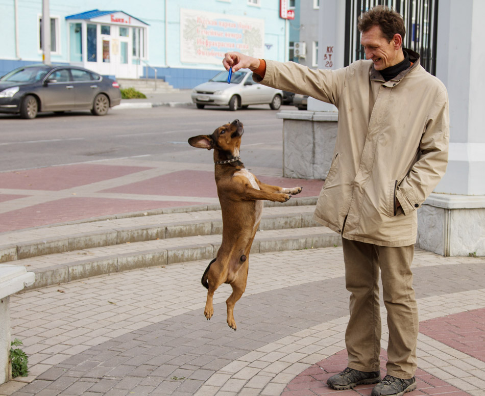 photo "***" tags: genre, street, 