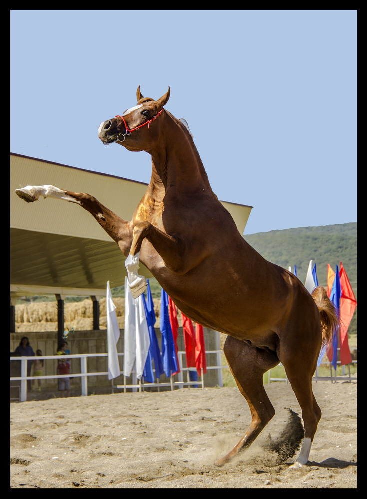 фото "***" метки: спорт, 