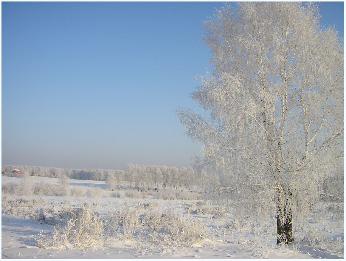 фото "Серебро Зимы" метки: пейзаж, зима, лес, поле