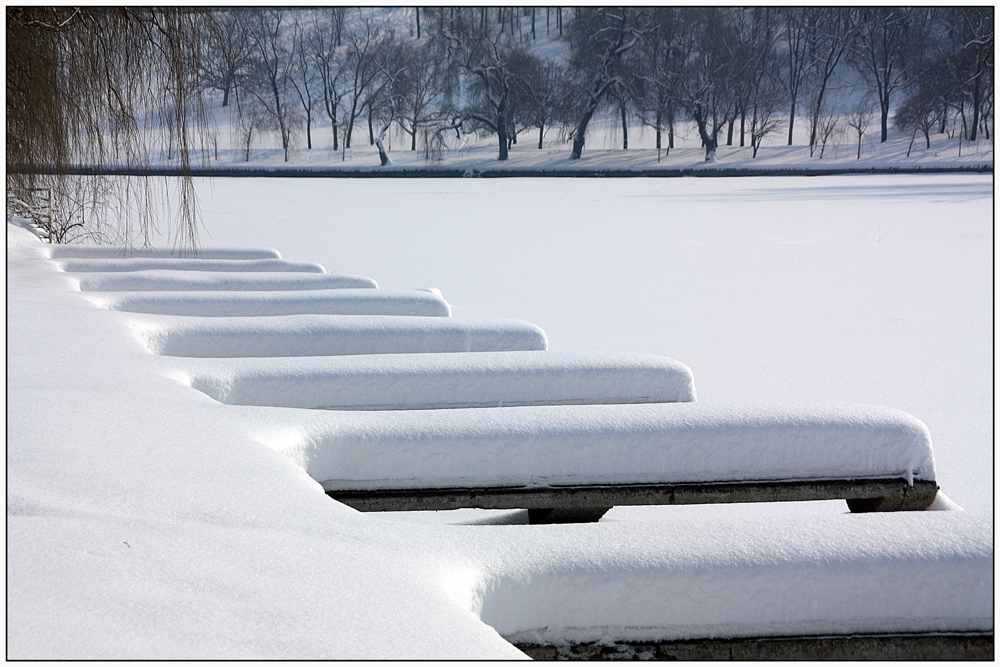 фото "First snow" метки: пейзаж, город, parks, trees, Бухарест, зима, снег