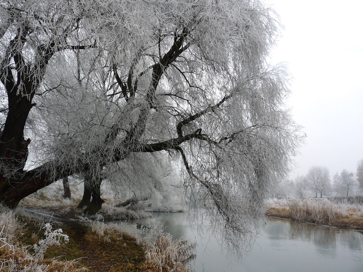 фото "***" метки: пейзаж, 