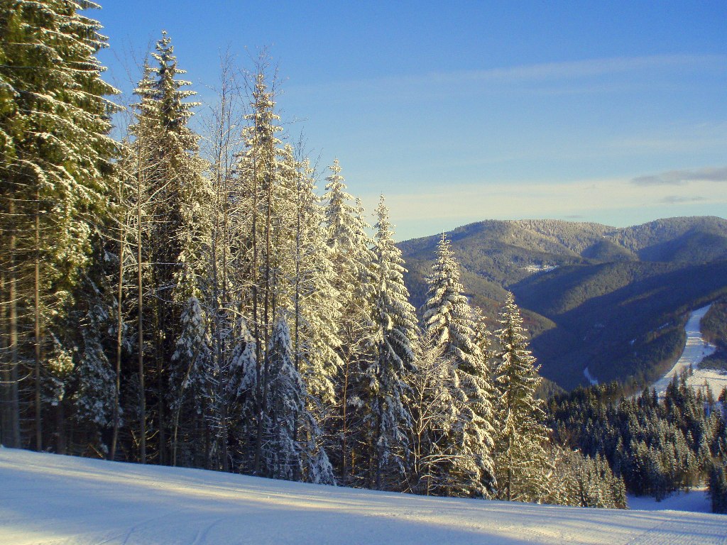 photo "***" tags: landscape, travel, nature, Ukraine, mountains, snow, winter, БУКОВЕЛЬ, Карпаты