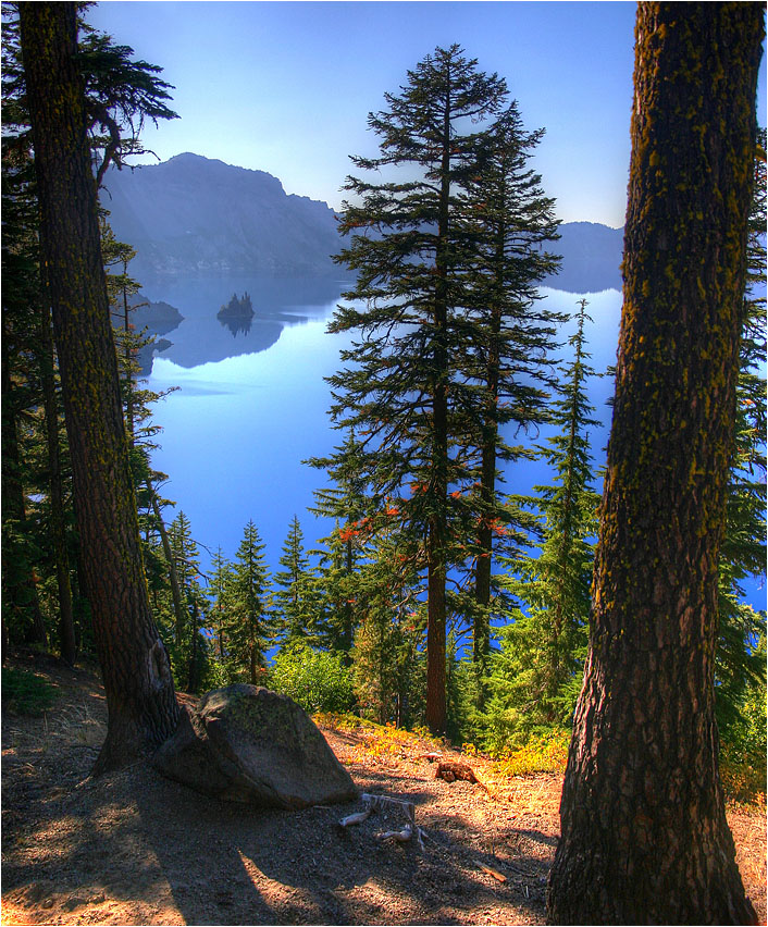 photo "Fantom ship between two pines" tags: landscape, water