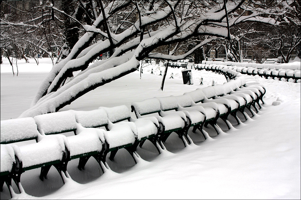 photo "***" tags: landscape, city, black&white, Bucharest, parks, snow, winter