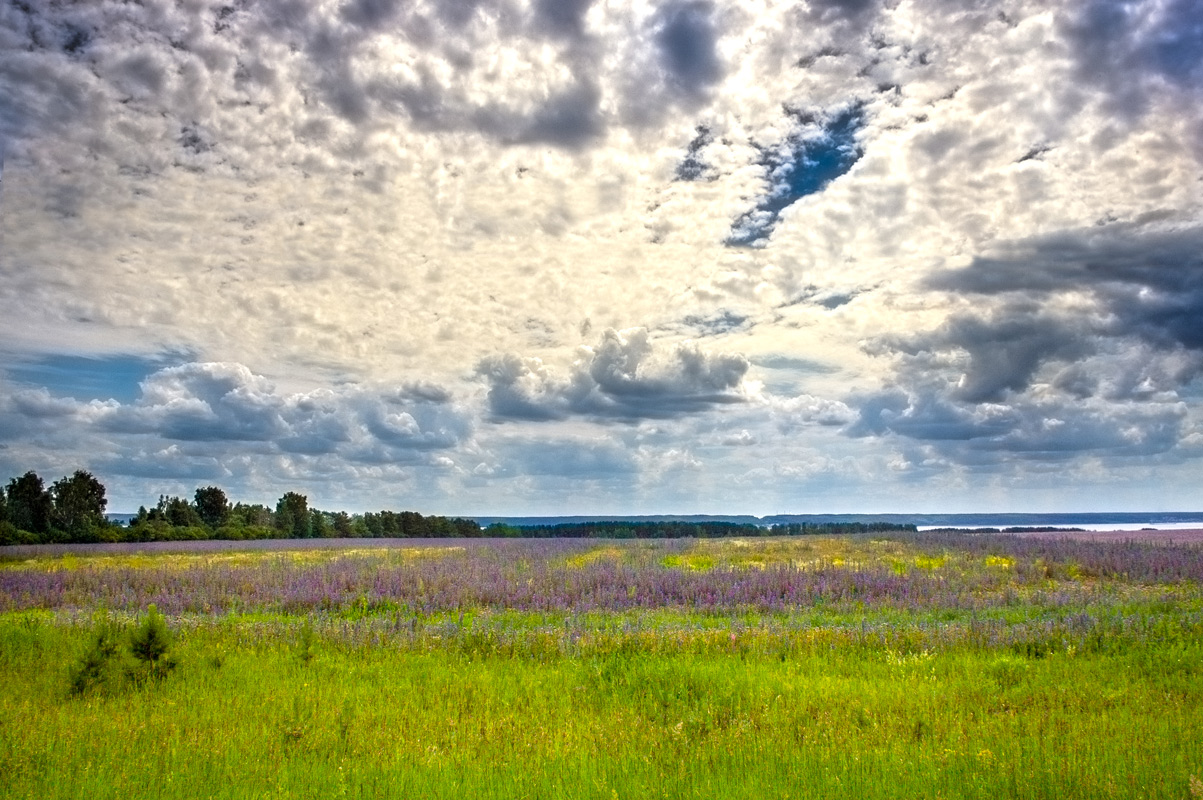 photo "***" tags: landscape, misc., поля