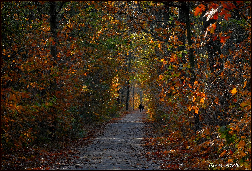 photo "***" tags: landscape, nature, street, 