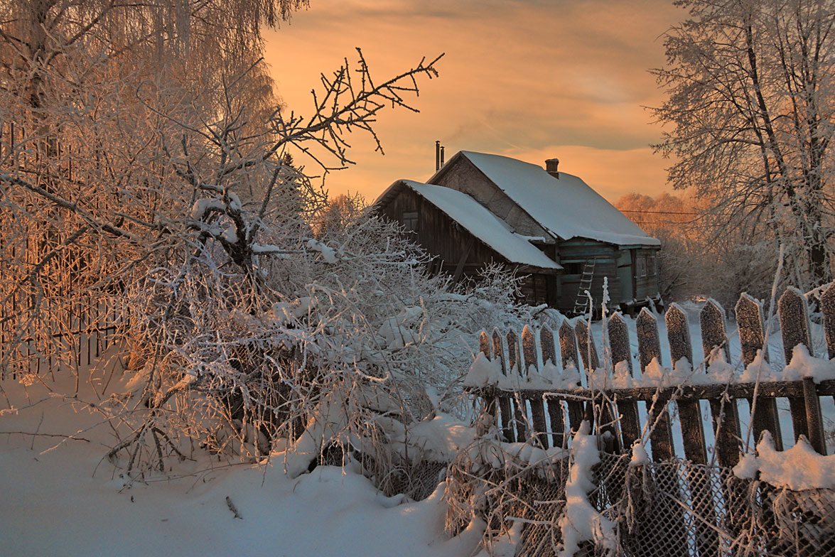 photo "***" tags: landscape, snow, sun, sunrise, winter, ветви