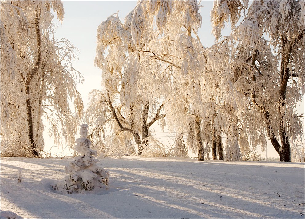 фото "Свет..." метки: пейзаж, 