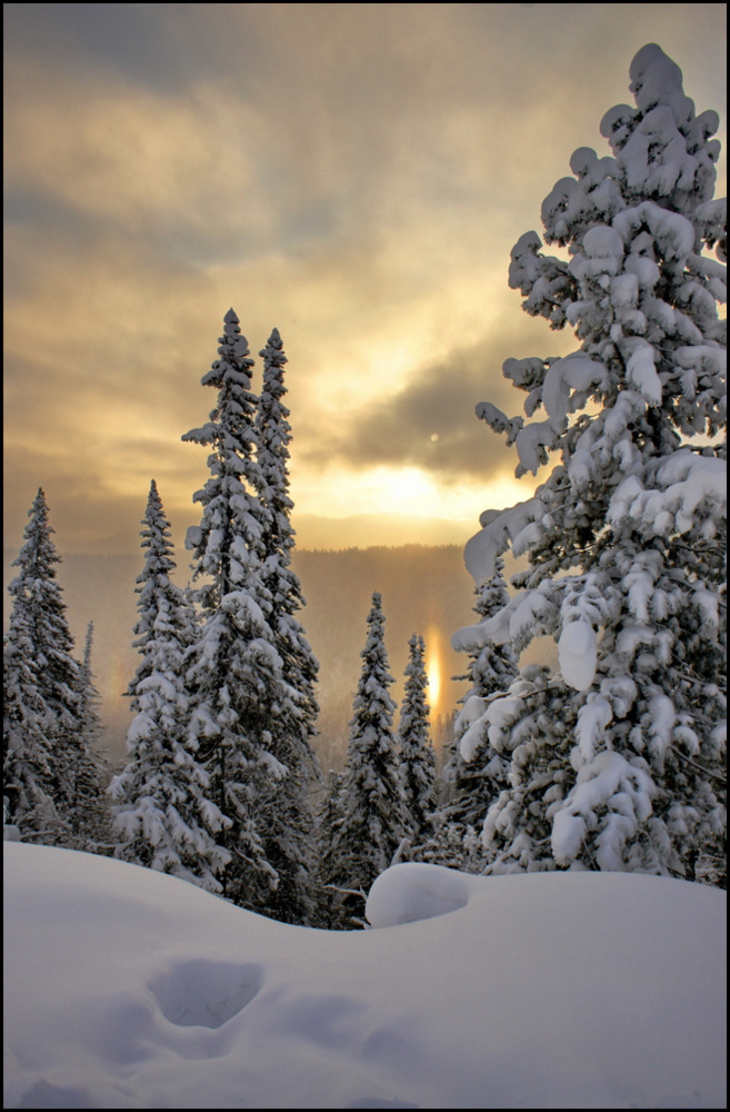 photo "***" tags: landscape, Asia, forest, mountains, winter, утро.