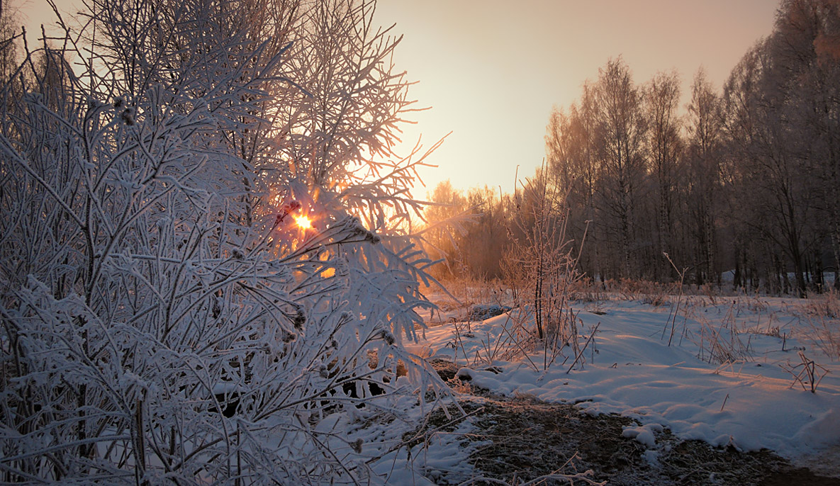 photo "***" tags: landscape, snow, sun, sunrise, winter, ветви, деревья