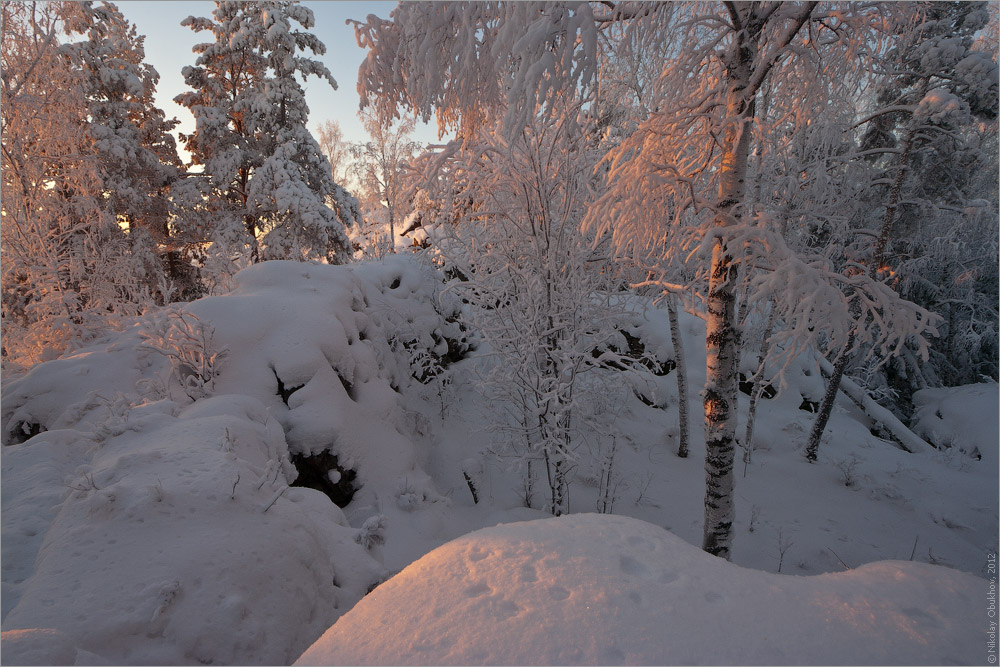 photo "It's dawning... / 0215_0271" tags: landscape, forest, sunrise, winter