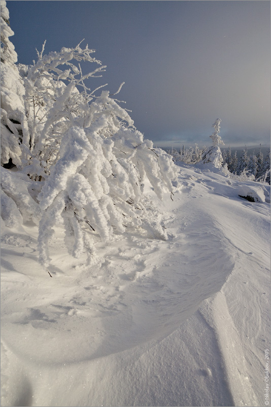 photo "0190_0079" tags: landscape, forest, winter