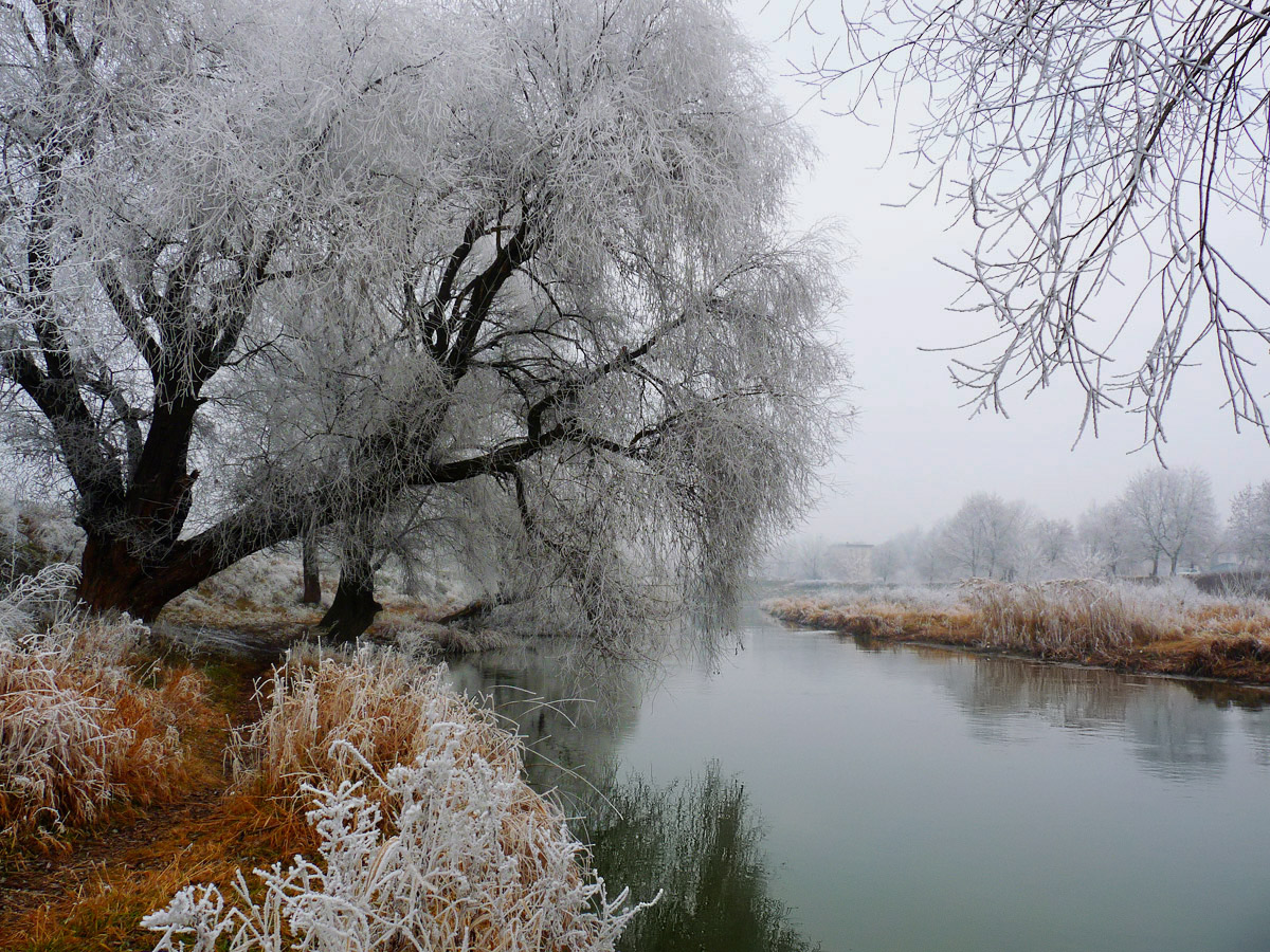 фото "***" метки: пейзаж, 