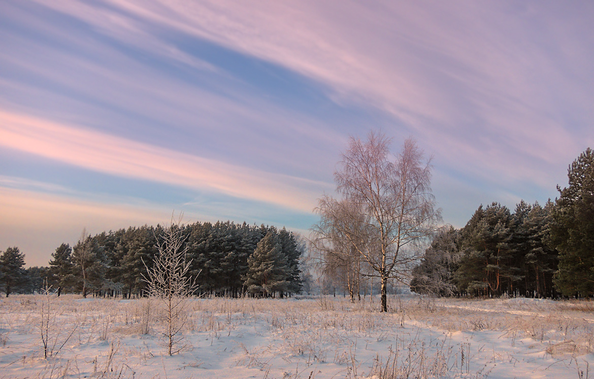 photo "***" tags: landscape, forest, sky, snow, sunrise